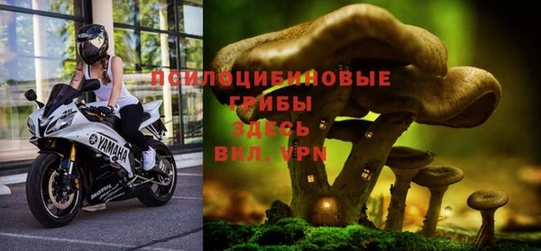 Альфа ПВП Алексин