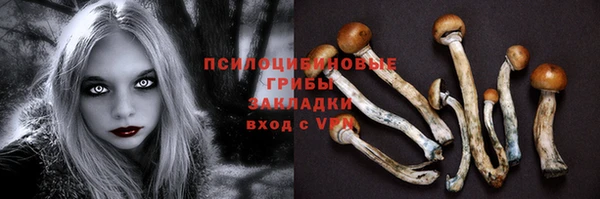 прущая мука Алзамай